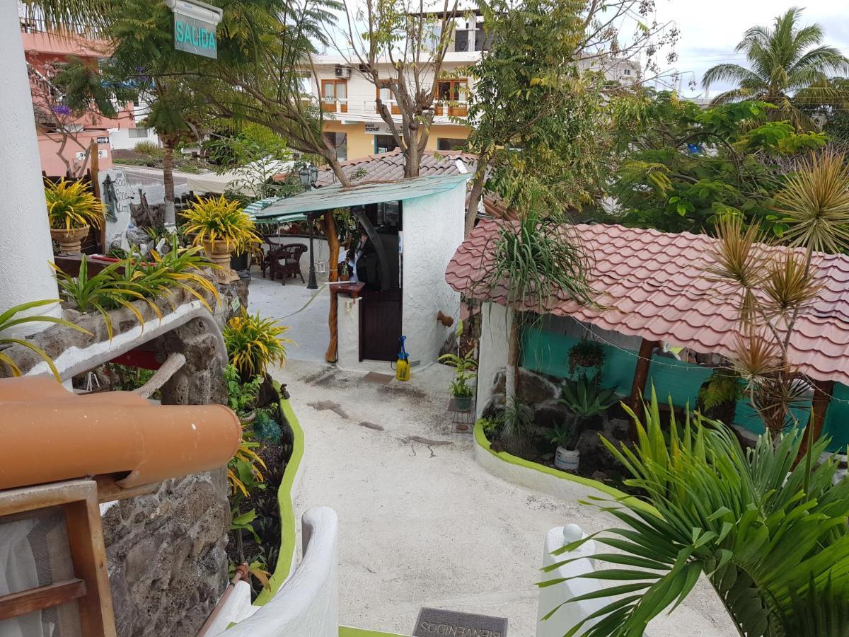Cann's House *