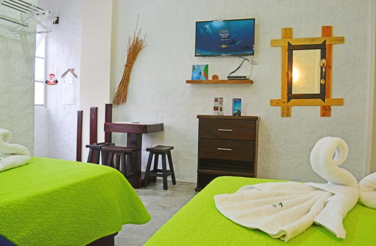 Cann's House Guest house